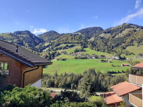 Confortable chalet avec magnifique vue en Gruyère. - Chalet - Charmey