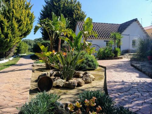 Kert, Finca Esmeralda in Zahora