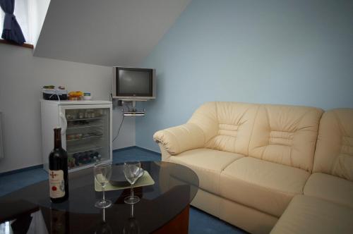 Pension Konopiste - image 12