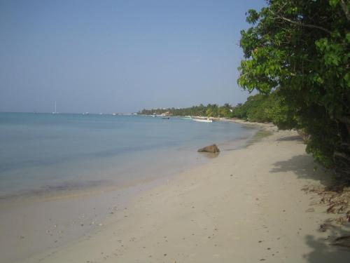 Habitation de l'Anse Mancenillier