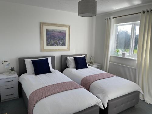 Superb Holiday Home in Springfields, Llanelli gîte à louer Trostre