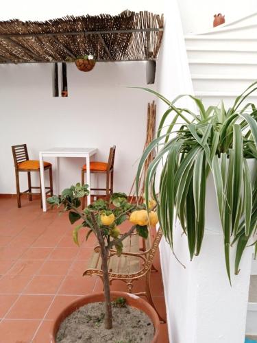 Faciliteter, Casa da Umbria in Odemira