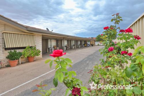 Vineland Motel Mildura in ميلدورا