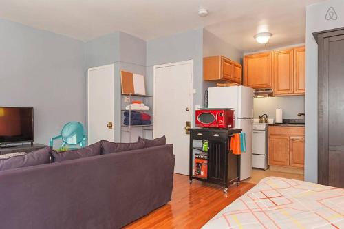 Apt near Grocery Store Tufts Medical - image 14