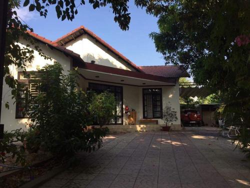 Ivy Home