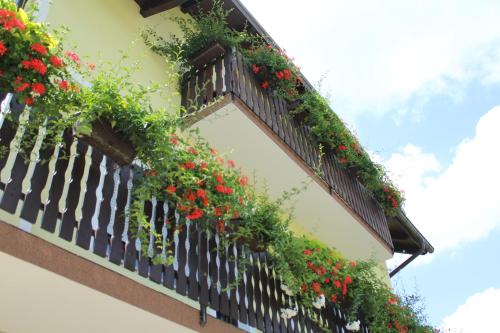 شرفة/ تراس, House Palijan in راكوفيكا