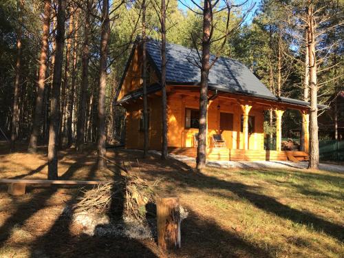 FoRest Inn - Location saisonnière - Trzepieciny