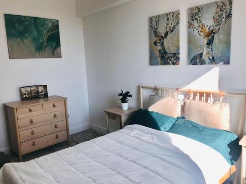 Cosy 2 Bedroom Flat in Edinburgh