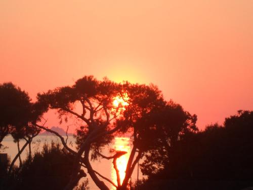 appartement vue sur mer - Location saisonnière - Six-Fours-les-Plages