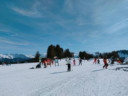 Studio au pied des pistes- Le Praz de Lys - Location saisonnière - Taninges