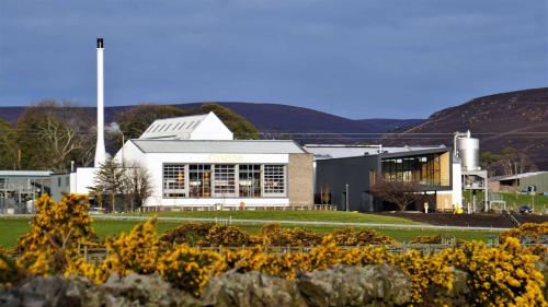 Auchencairn Cottage