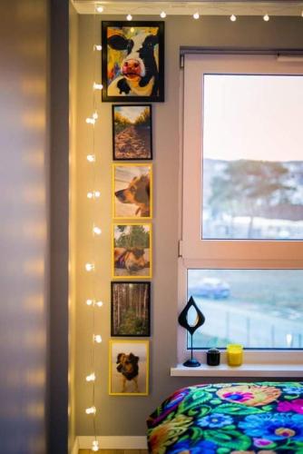 Apartament Nadmorski W Kolorze