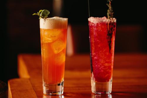 Hotel Indigo Boston Garden an IHG Hotel - image 33