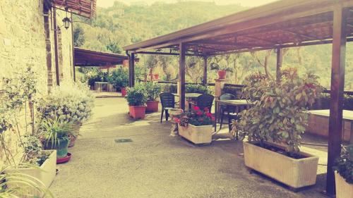 Agriturismo Santa Barbara in Prignano Cilento