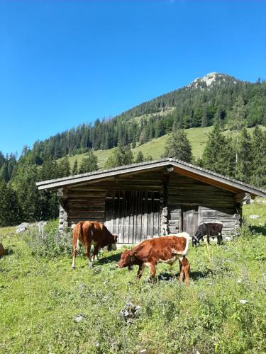 Gästehaus Kurz