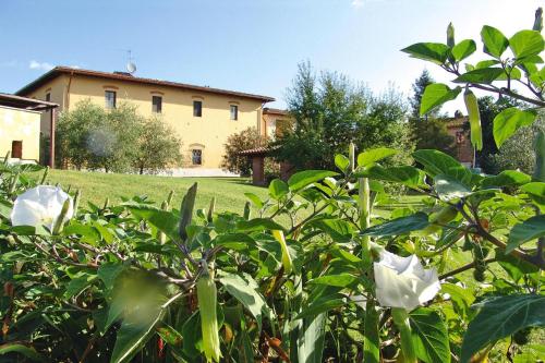Agri-tourism Poggio al Sole Vinci - ITO05442-CYB - image 6