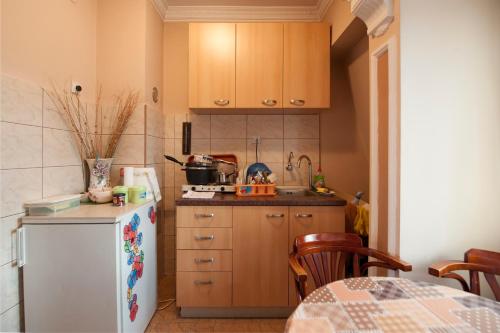 Kitchen, Guest House Pansion 10 in Cetinje