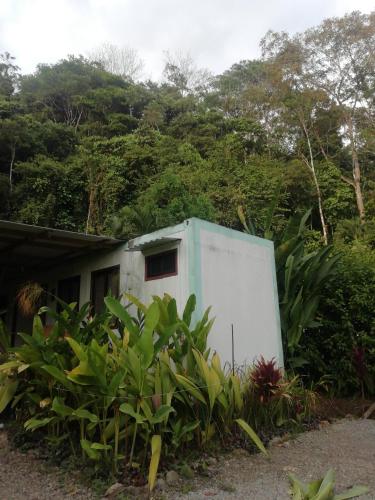 Casa Heliconia