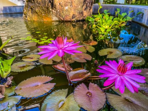 Lapazul Boutique Hotel