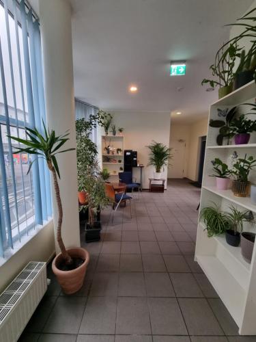 Puschkin Rooms - image 2