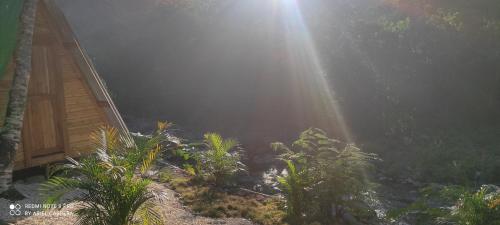 Room in Lodge - Glamping in Lechuza river