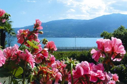  Apartment in Verbania near the lake, Unterkunft in Bieno