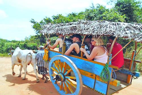 Sun Flower Homestay Sigiriya