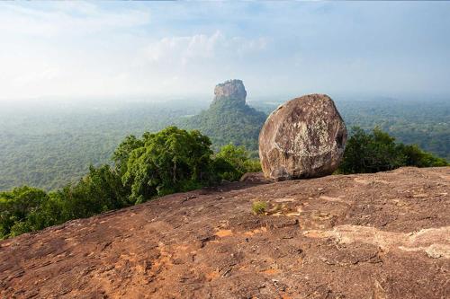 Sun Flower Homestay Sigiriya