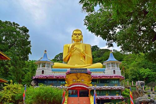 Sun Flower Homestay Sigiriya