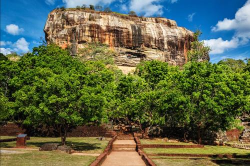 Sun Flower Homestay Sigiriya