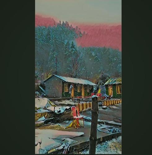 Moonlight kasol