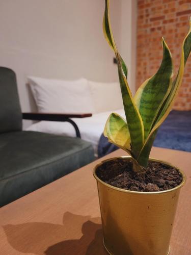 Chill Lo 訂房後請收訊息確認 in Miaoli