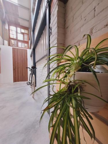 Chill Lo 訂房後請收訊息確認 in Miaoli