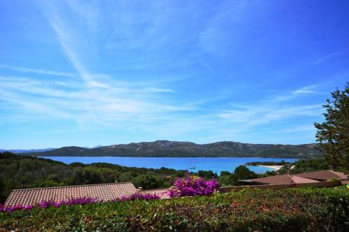 15E - Porto Mannu spazioso bilocale con ampio patio vista mare gîte à louer Opera di Poggio Rasu Superiore