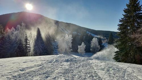 Harrachovsky apartman in Harrachov