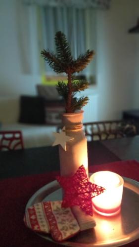 Harrachovsky apartman in Harrachov