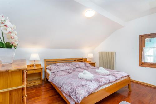  GuestHost - Penthouse Central apartments vista Monte Priesnig in Tarvis
