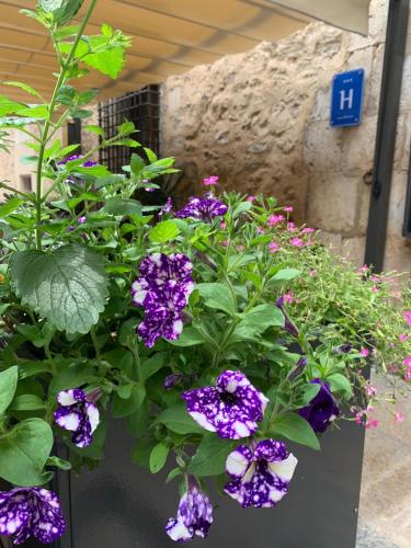 Hotel Cardenal Ram - image 7