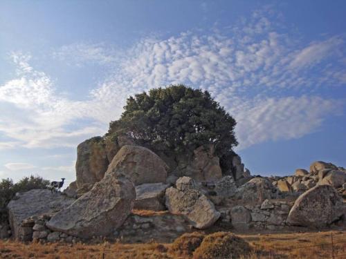 Freedom's house on Volaka Village Tinos