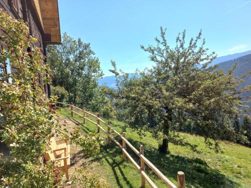 Skats, Berghütte Reissnerhof (Berghutte Reissnerhof) in Ranten