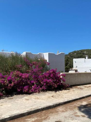  STUDIO ES VEDRA in Cala Vadella