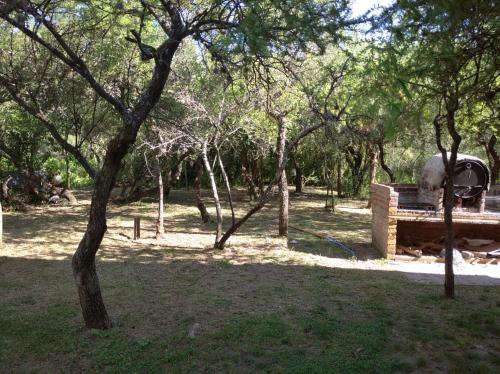 Bosquecito de Carpin