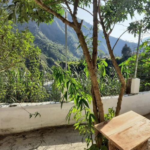 Backpackers-balcones-river-lodge