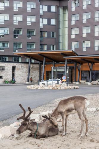 Levi Panorama Hotel