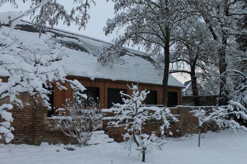 Gite spacieux et cosy à la campagne proche de Strasbourg