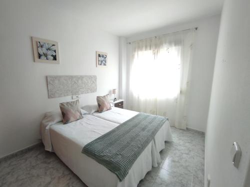 2 twin beds, 1 sofa bed