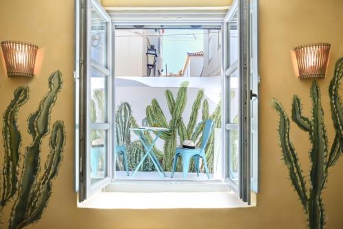 Cactus Hydra
