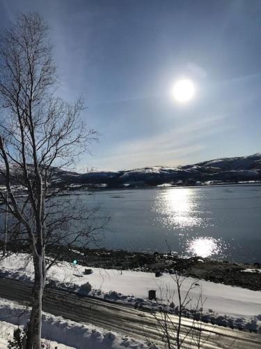 Trivelig fritidshus på Årnes, Senja (Trivelig fritidshus pa Arnes, Senja) in Gibostad