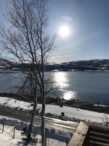 Trivelig fritidshus på Årnes, Senja (Trivelig fritidshus pa Arnes, Senja) in Gibostad