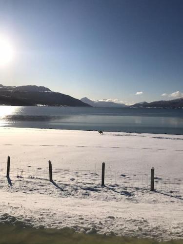 Trivelig fritidshus på Årnes, Senja (Trivelig fritidshus pa Arnes, Senja) in Gibostad